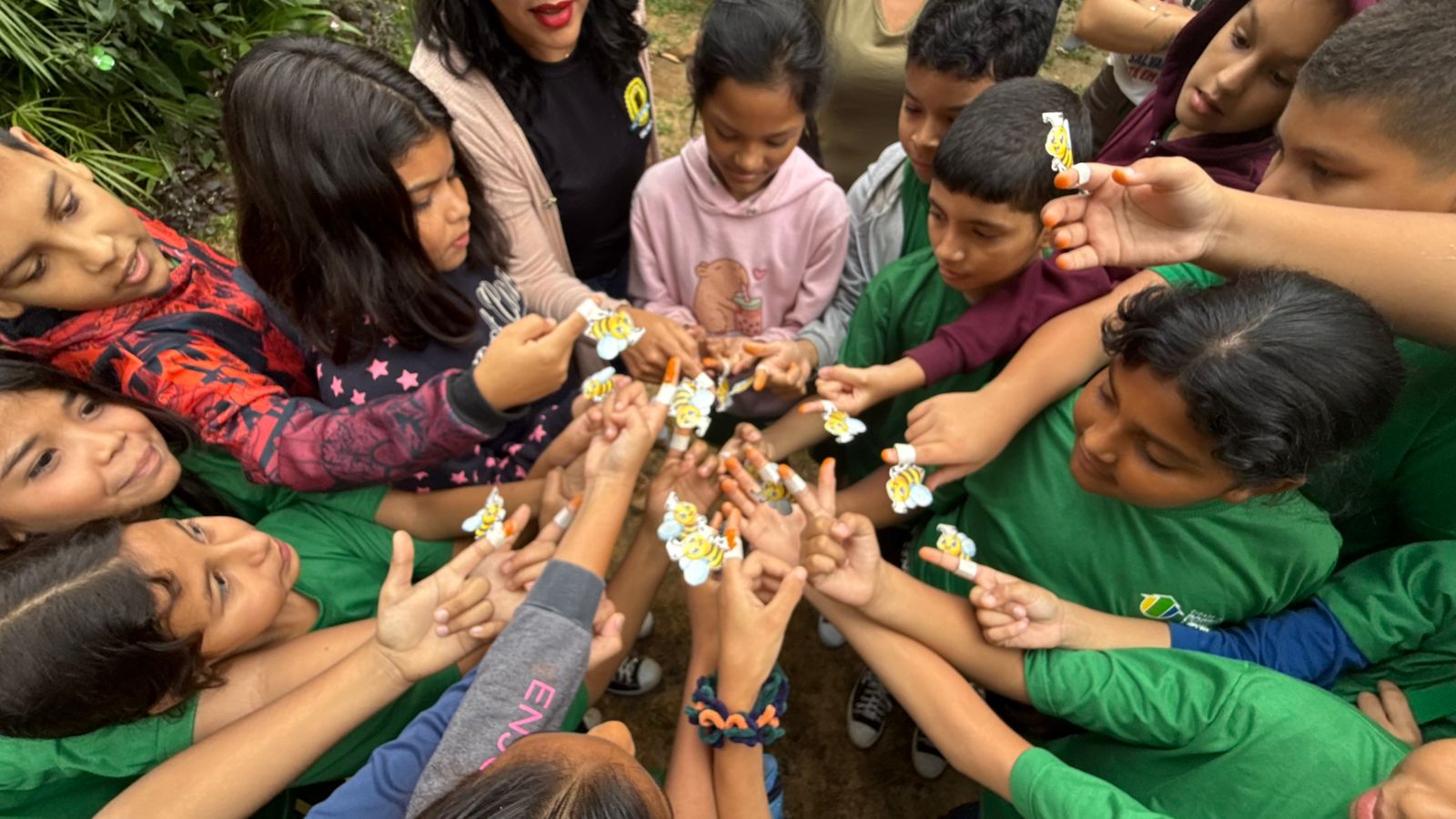 Evento reforçou o papel essencial das abelhas para a biodiversidade, o equilíbrio ambiental e a segurança alimentar